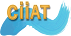 CiiAT Logo